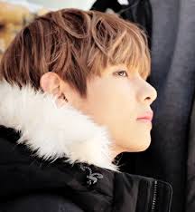 Résultat de recherche d'images pour "v gif bts"