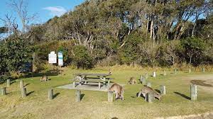Maybe you would like to learn more about one of these? Diamond Head Campground Nsw