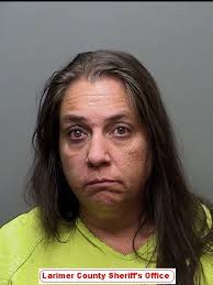 High-speed chase suspect arrested in Wellington