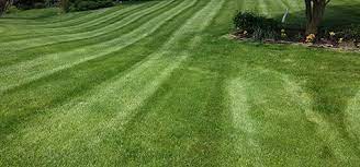 Wilmington, de 143 lawn care services near you. Grass Cutting Lawn Mowing Wilmington Delaware