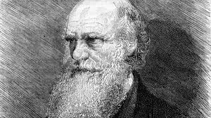 Darwin, as leis da natureza e a história