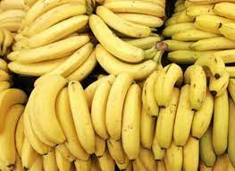 Ecuador is one of the world's top banana producers, ranked 5th with an annual production of 8 million tonnes (6% of world. Ecuador S Banana Exporters Look Beyond Eu Eurofresh Distribution