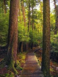 15 Most Beautiful Places To Visit In Pennsylvania Beautiful Places To Visit Places To Visit Most Beautiful Places