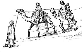 Camel coloring page to color, print or download. Camel Coloring Pages Bestofcoloring Com Coloring Home