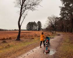Bos in leersum snel gevonden met telefoonboek.nl. Tips Voor Bezoek Leersumse Veld In Leersum Nederlandsglorie