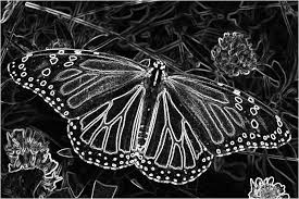 Edges in images are areas with strong intensity contrasts; C How To Image Edge Detection Software By Default