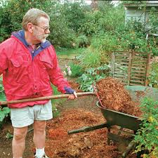 It's important to know who's been rabbit poo is a good indication of their homes. Raising Animals As Gardening Allies Finegardening