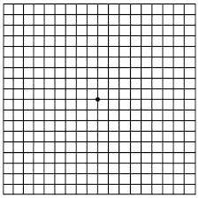We did not find results for: Have Amd Save Your Sight With An Amsler Grid American Academy Of Ophthalmology