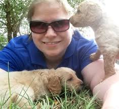 Australian Labradoodles