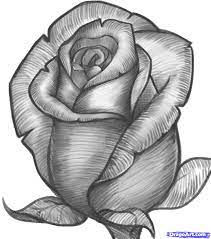 How To Draw A Rose Pencil Drawings Of Flowers Flower Sketches Flower Drawing