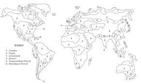 Check spelling or type a new query. Biome Map Coloring