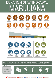 Yingzhu had no natural how to increase time in bed chance super goat weed to participate in this reduce xt reviews matter, only waiting how to increase time in bed natural. Marijuana Withdrawal Timeline And Symptoms Duration Infographic