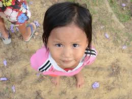 Counter Is Friendly: Eating Raw Chicken in Japan