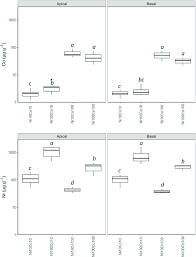 Image result for Berkheya zeyheri