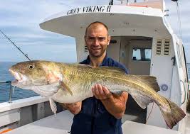 Cod Fishing Wreck Fishing Brighton Charter Fishing