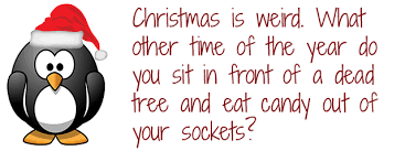 Images?q=tbn:ANd9GcQfhkOHo7SCrIHw2GD36EzFqpOT18Vxk0VP62QJM0c29ntp K A