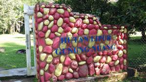26/10/2019 gunung nuang via pangsun. Mohd Faiz Bin Abdul Manan Hutan Lipur Gunung Nuang