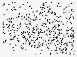 Flying Bird Silhouette Png Free Hd Flying Bird Silhouette Transparent Image Pngkit Black image of a small bird. flying bird silhouette png free hd
