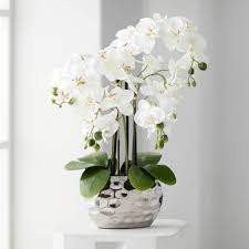 Shop bathroom furniture, home décor & more! Plants Bathroom Decor Target
