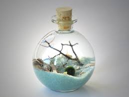 Marimo Bottle Garden Terrarium By Midnight Blossom Underwater Terrarium With Living Japanese Moss B Marimo Moss Ball Terrarium Bottle Garden Marimo Moss Ball