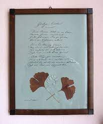 Generell muss man zwischen gartenhäusern und gerätehäusern unterscheiden. Datei Ffm Willemer Gartenhaus Innen Og1 Ginkgo Biloba Jpg Wikipedia