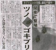 ついに ツノゴキブリ を発見か 謎の昆虫がツイッターで話題に 秒刊sunday 最新の面白ニュースサイト エイプリルフール ツノ ゴキブリ