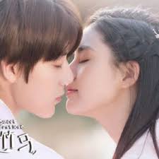 Travel, Love, and Discovery: The Journey of Zeke & Terri Mead