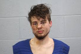 Barnett charged with assault by car: COLDWATER — Devin Barnett, 20, will  face charges of assault with a dangerous weapon — his car — in a continuing  domestic dispute. The trouble stemmed