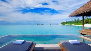 Landscape Photo Of Seashore Wallpaper Swimming Pool Beach Resort Palm Trees Palm Trees Wallpaper Landscape Photos Swimming Pools