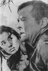 Full article: Profiles in ambiguity: how three 1960s American TV dramas  “broached the unbroachable”—Vietnam