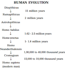 1 name the branch of science that deals with the human