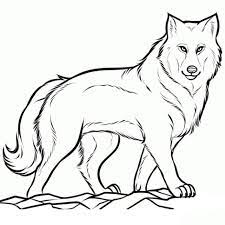 Hier kannst du dir schnell und einfach dein ausmalbild wolf 1 ausdrucken. Wolf Malvorlagen Gratis Coloring And Malvorlagan