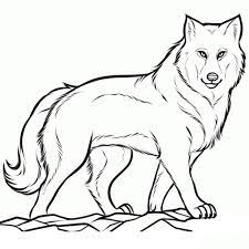 Einfach die ausmalbilder ausdrucken und mit vielen tollen buntstiften ausmalen. Wolf Malvorlagen Gratis Coloring And Malvorlagan