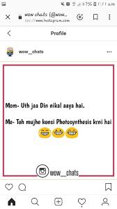 Pin By Unknown Riddle On Ridiculous Jokes Quotes Fun Quotes Funny Funny Study Quotes