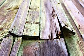 We did not find results for: Straighten Warped Wood
