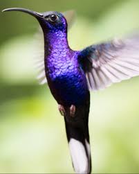 71e4ac08-7db8-4dca-a918-dd945a1a670d