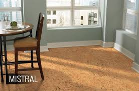 What S The Best Flooring For Dogs Flooring Inc Cork Flooring Cork Flooring Kitchen Flooring