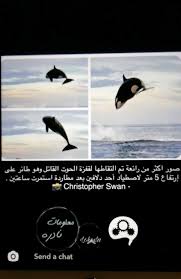 Pin By Asma On Informations In 2021 Movie Posters Movies Poster