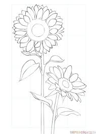 How To Draw A Sunflower Step By Step Drawing Tutorials For Kids And Beginners Flower Drawing Tutorials Flower Drawing Sunflower Drawing