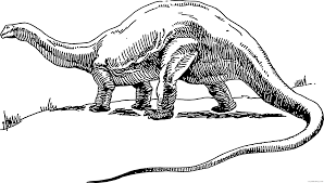 Home / animals / brontosaurus. Apatosaurus Coloring Pages Dinosaur Brontosaurus Bpng Printable Coloring4free Coloring4free Com