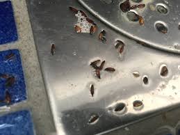 Image result for site:byggahus.se avlopp