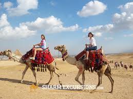 Having trouble beating a level of 4 pics 1 word with 5 letters in the answer? Star Gazing In Sharm Desert Camel Ride Evening Show Sharm