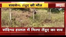 Raisen Leopard News : संदिग्ध हालत में मिला तेंदुए का शव। मामले की जांच में  जुटा Forest Department
