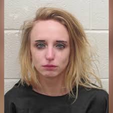 Two charged in separate incidents, accused of fleeing from deputies