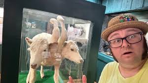 The Carpetbagger added a new photo — at...