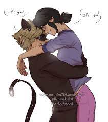 Chat Noir Pretty Amazing To Be Something At Least Miraculous Ladybug Anime Miraculous Ladybug Comic Miraculous Ladybug Funny