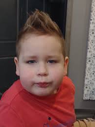 My girls, Rosey and Lulu got their summer haircuts today!!