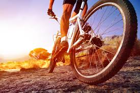 Kalorienverbrauch Beim Radfahren