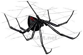 Black widows in 2020 | black widow spider, black widow. Black Widow Spider By Rogerdhall On Deviantart