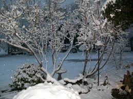 Pin By Pop And Gracie On Snow Business In The Bluff Long Winter Snow Winter